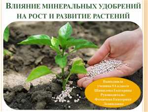 Учитываем сезонность: когда вносить азотные удобрения