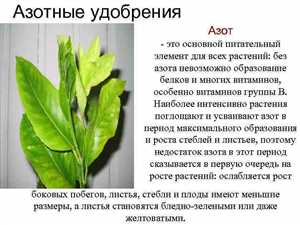 Особенности азотных удобрений для овощных культур