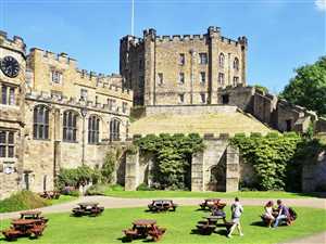 Сотрудничество с бизнесом