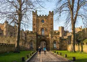 Программы бакалавриата: направленности и требования