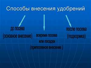 Как правильно вносить удобрения — пошагово 5 Методы контроля