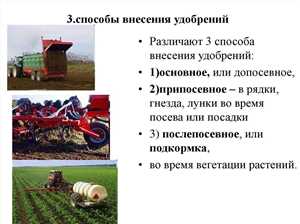Как правильно вносить удобрения — пошагово 4 Способы внесения удобрений: гранулы, жидкие, органика