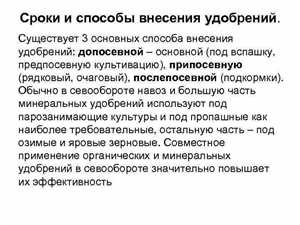 Как правильно вносить удобрения — пошагово Как правильно вносить удобрения — пошагово