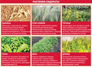 Как выбрать удобрение под тип почвы