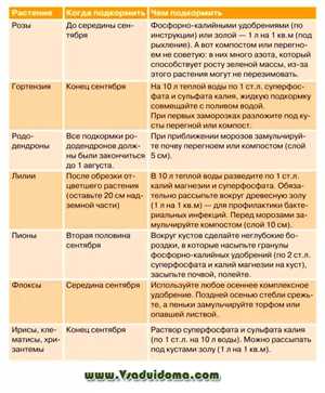 Оптимальные вещества для подкормки