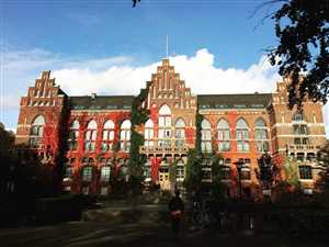 Лундский университет