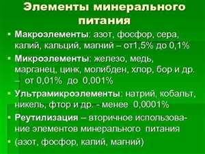 Значение бора для растений