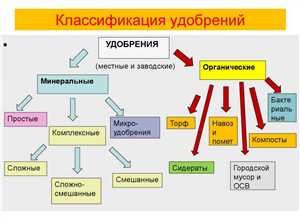 Минеральные и органические удобрения: сравнение