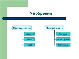 Основные компоненты органических удобрений