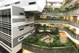 Технологический университет Наньян (NTU) 2 Программы и специальности на бакалавриате в NTU