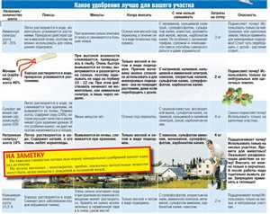 Удобрения для теплиц — особенности выбора 3 Корневая система