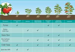 Удобрения для теплиц — особенности выбора 2 Виды удобрений для теплиц: минеральные и органические