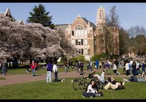 Стажировки и практическое обучение