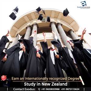 Университетские мантии и академическая традиция 3 Магистерская мантия