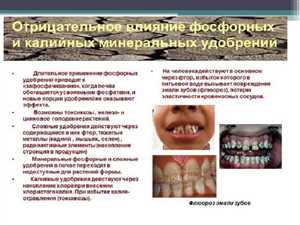 Законодательные и нормативные меры