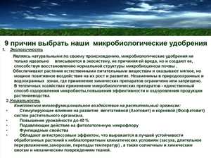 Перспективы и вызовы