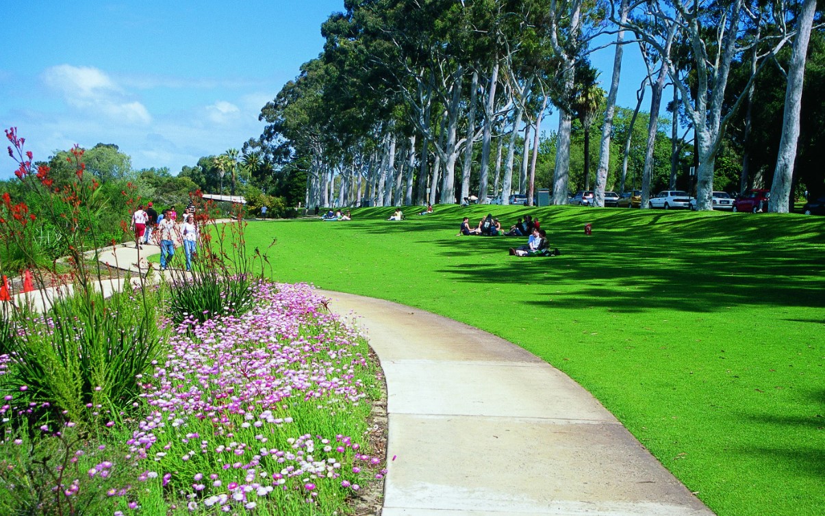 Парк Кингс-Парк в Перте &mdash; дух Австралии на холме