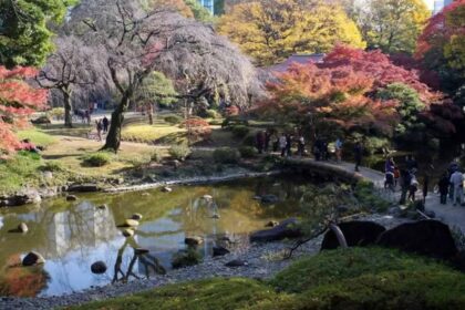 Сад Кёракуэн - жемчужина Окаямы 11 Сад Кёракуэн