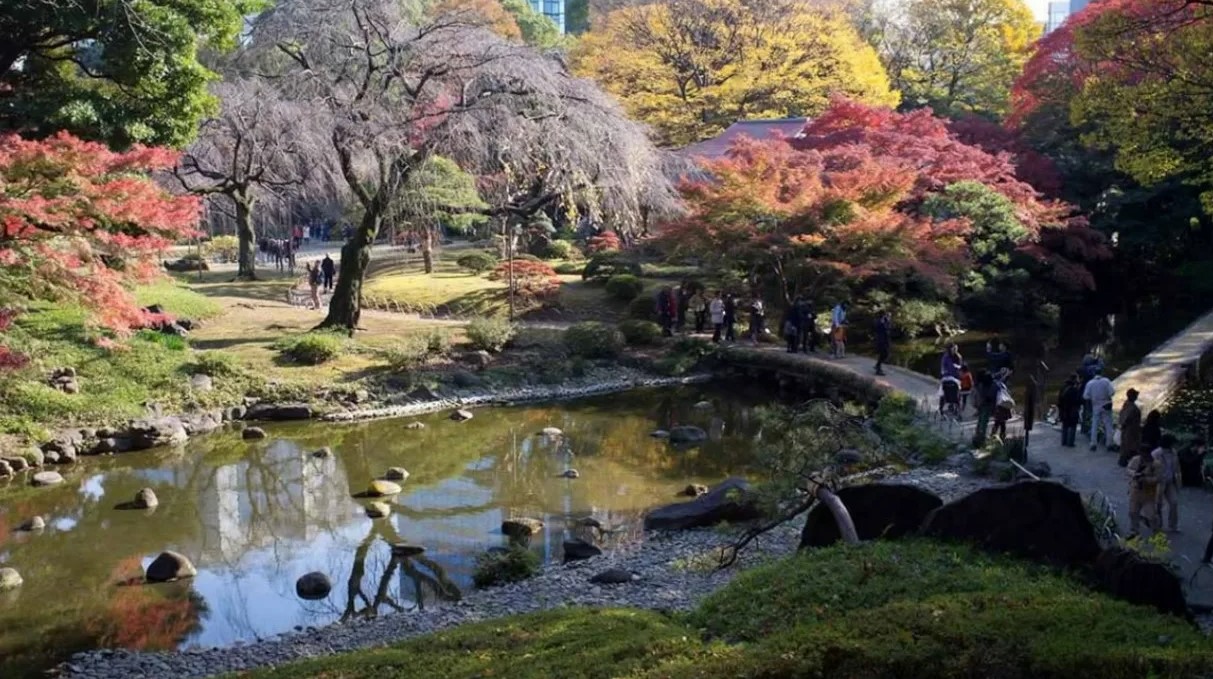 Сад Кёракуэн - жемчужина Окаямы 1 Сад Кёракуэн