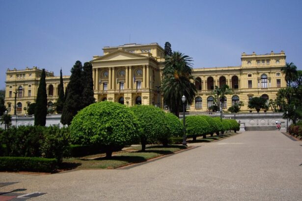 Университет Сан-Паулу