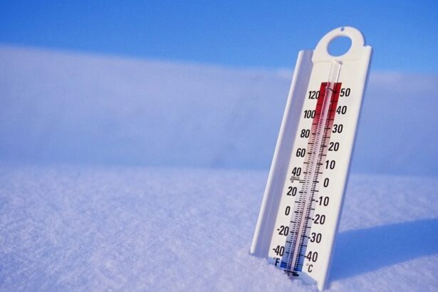 Погода при температуре -50 как выживают люди
