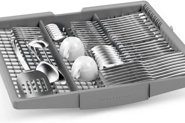 Ремонт посудомоечной машины Bosch - ошибка есть — решение тоже