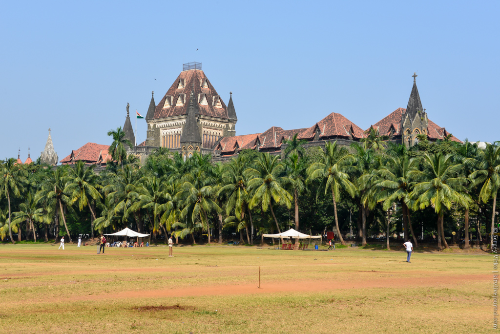 Образовательные инициативы