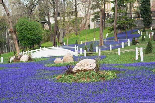Парк Гюльхане - сады рядом с дворцом