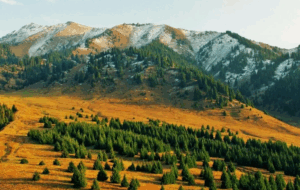 Как добраться до плато Кок-Жайляу