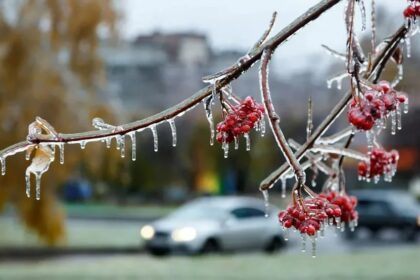 Погода во время ледяного дождя как защитить себя и имущество