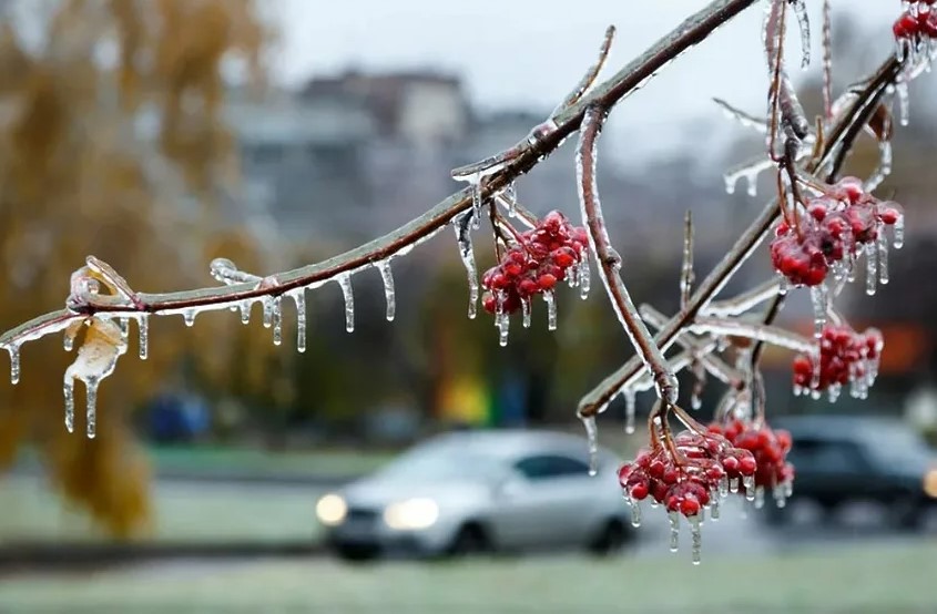 Погода во время ледяного дождя как защитить себя и имущество 1 Погода во время ледяного дождя как защитить себя и имущество