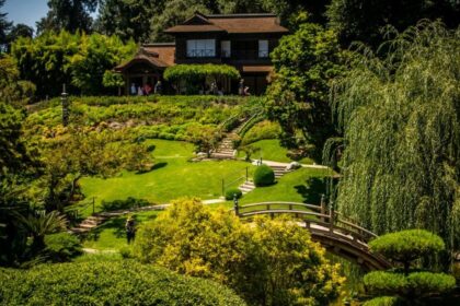 Сады Хантингтон в Сан-Марино (Калифорния, США) 12 Сады Хантингтон