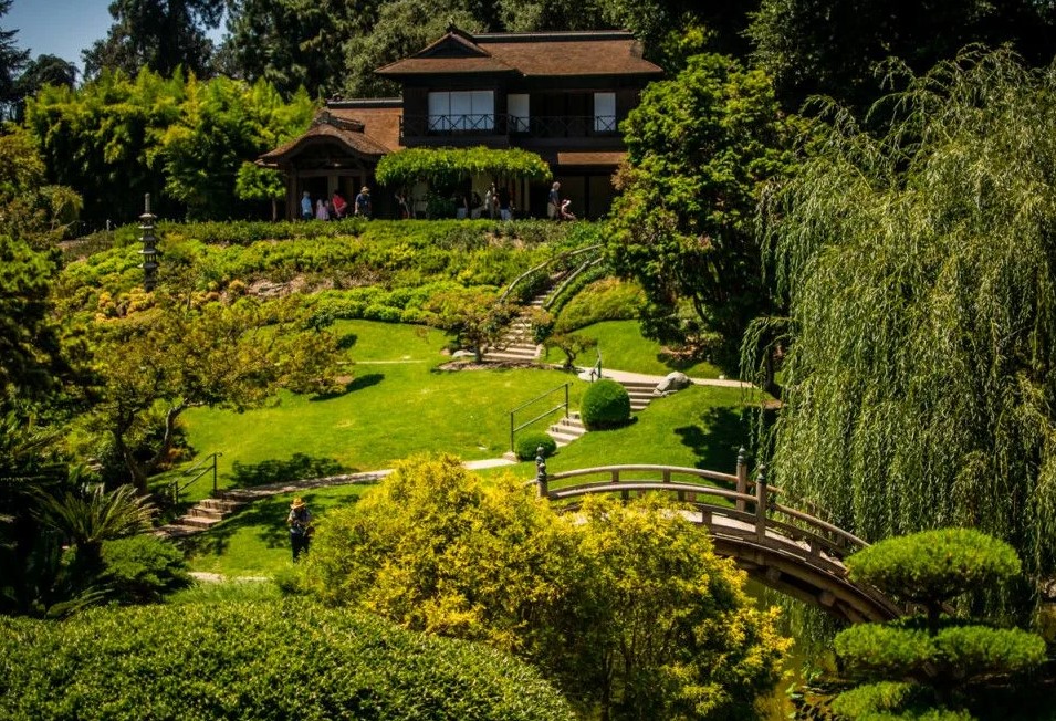 Сады Хантингтон в Сан-Марино (Калифорния, США) 1 Сады Хантингтон