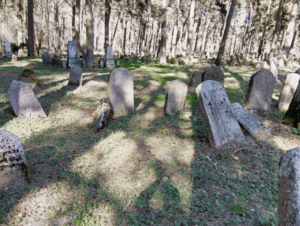 Еврейское кладбище в Гродно Еврейское кладбище в Гродно