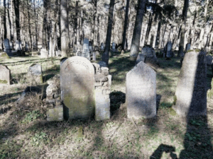 Еврейское кладбище в Гродно Еврейское кладбище в Гродно