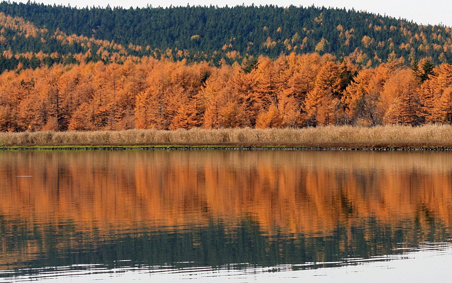 Горный серпантин