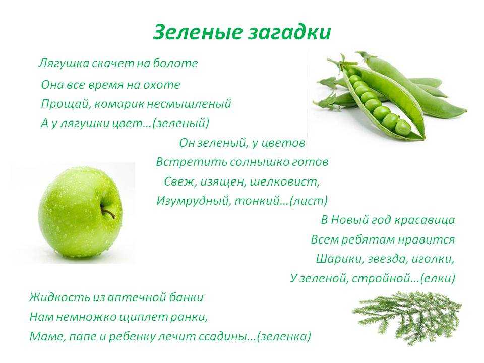 История и загадки Зеленого базара