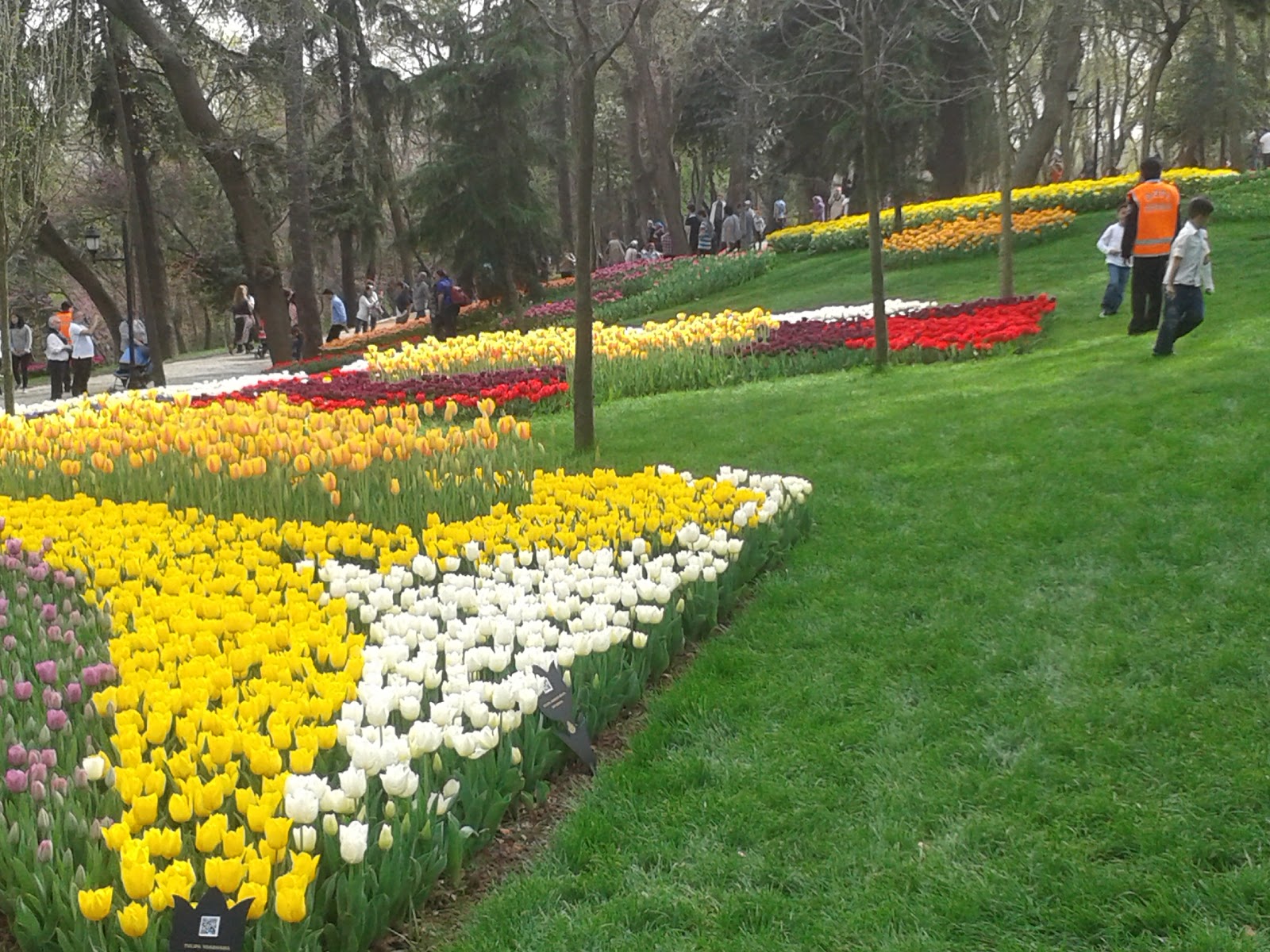 Парк Эмирган - тюльпаны и прогулки 3 Выбор дней для визита