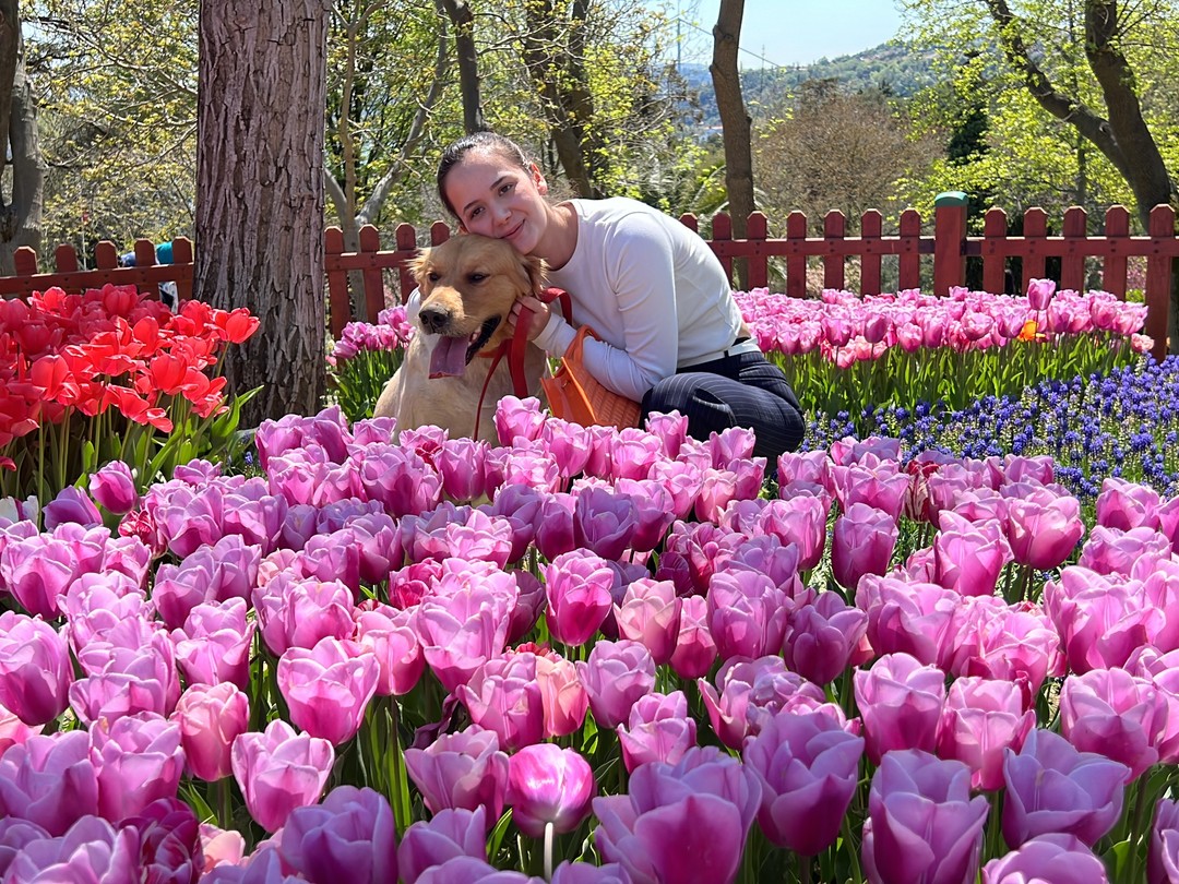 Парк Эмирган - тюльпаны и прогулки 1 Парк Эмирган - тюльпаны и прогулки