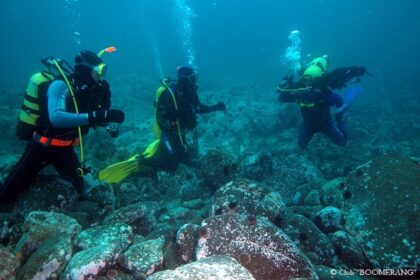 Остров Монерон — заповедная территория и дайвинг 9 Остров Монерон — заповедная территория и дайвинг