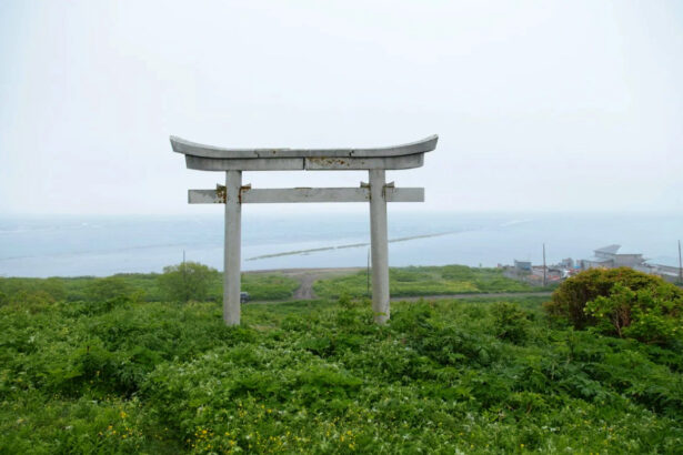 Японские ворота Тория в Корсакове — памятник японской эпохи