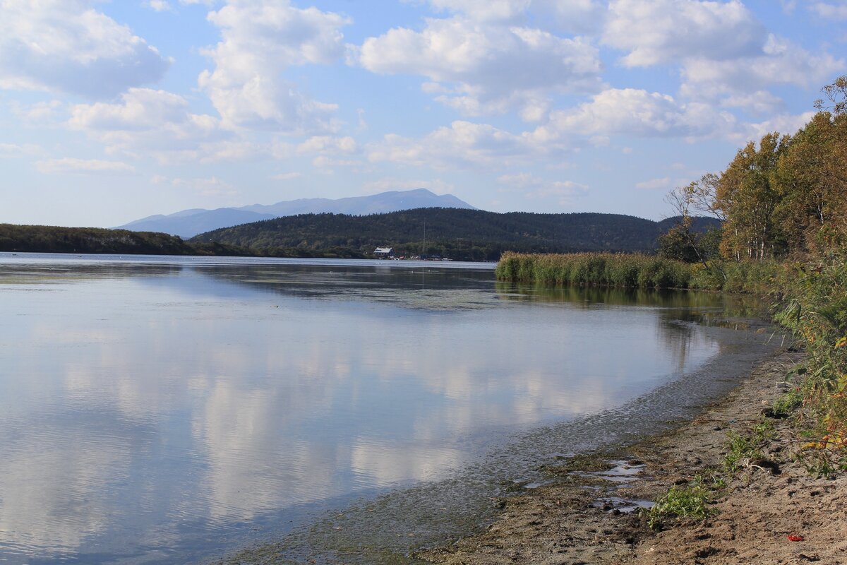 Где поесть?