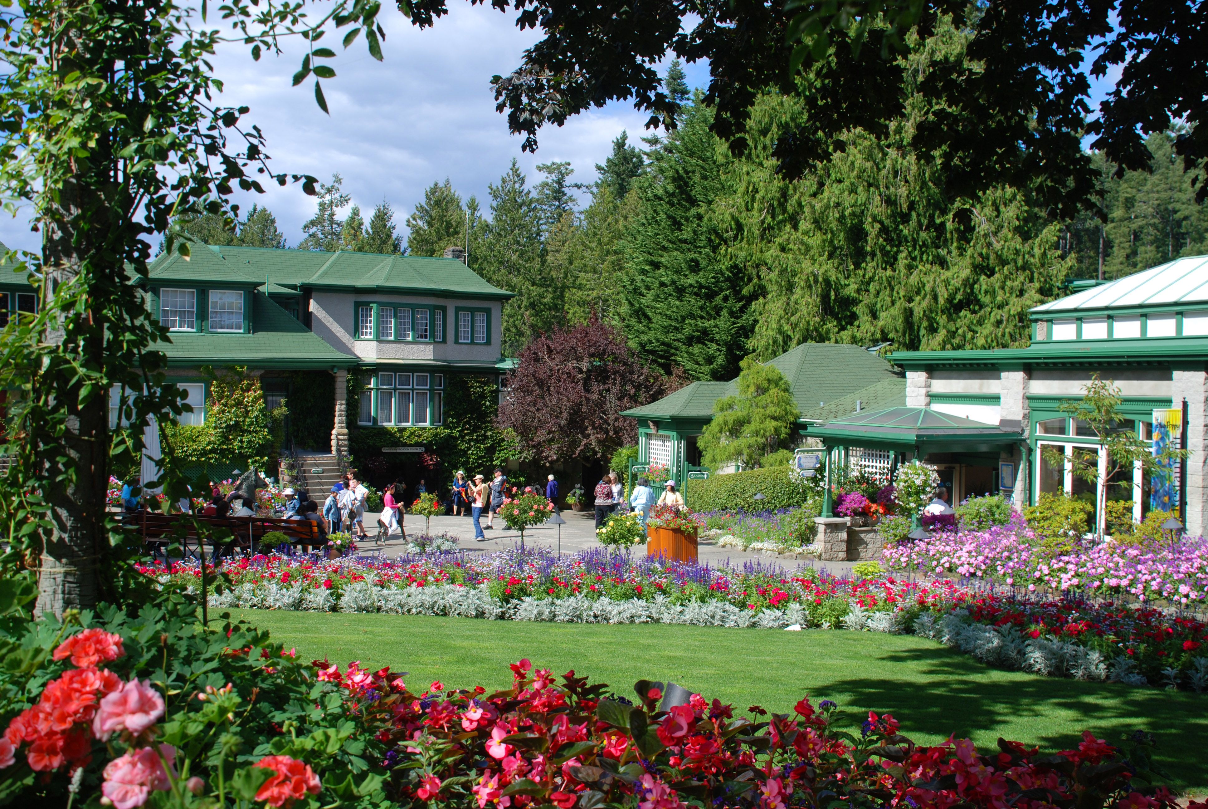 Растения и кустарники