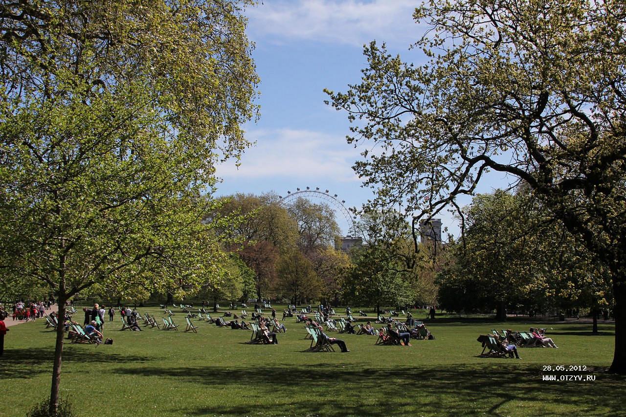 Птицы и их привычки