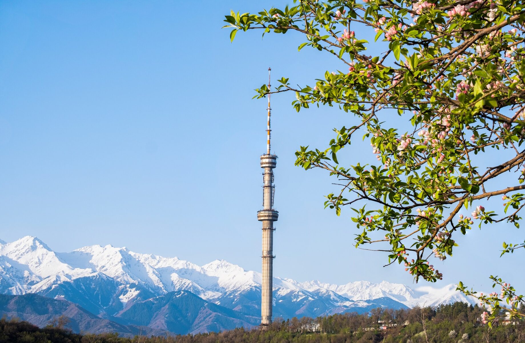 Путеводитель по Кок-Тобе - что посмотреть на горе 2 Как добраться до Кок-Тобе без проблем