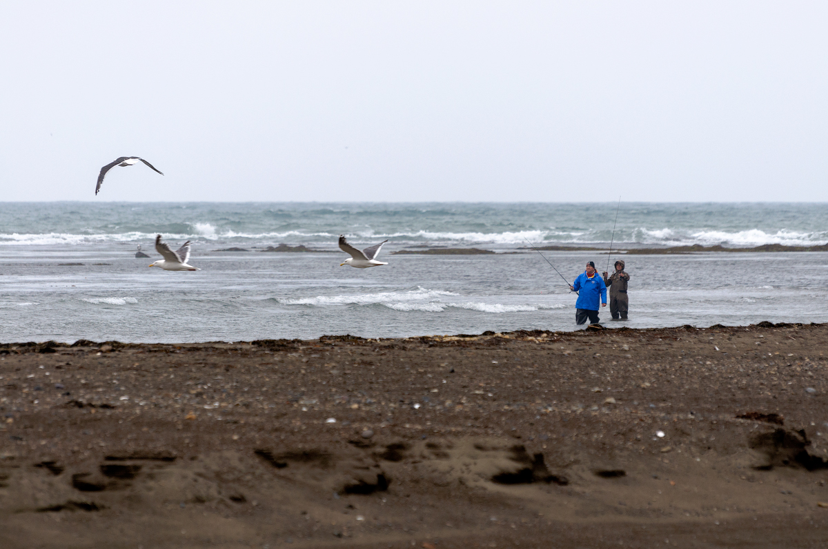 Определите уровень подготовки