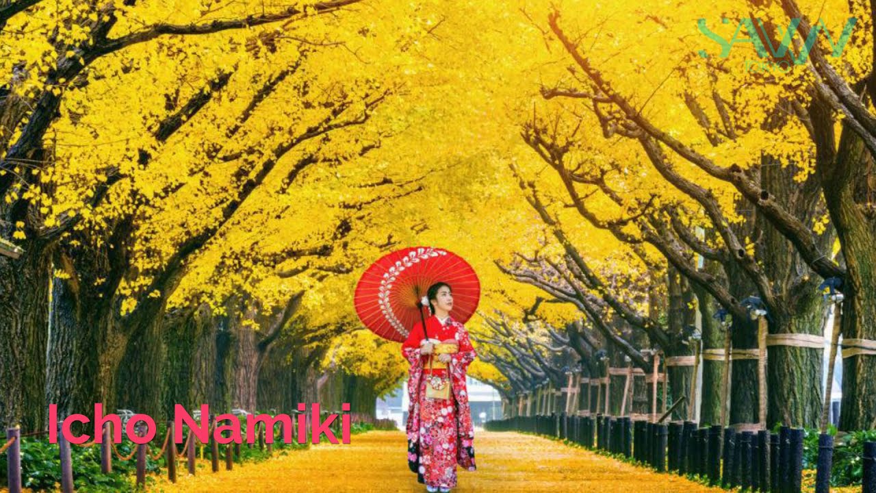 Фотосессии: как запечатлеть осень в парке Уэно