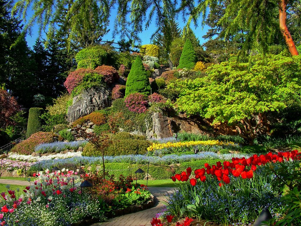 Билеты и оплата