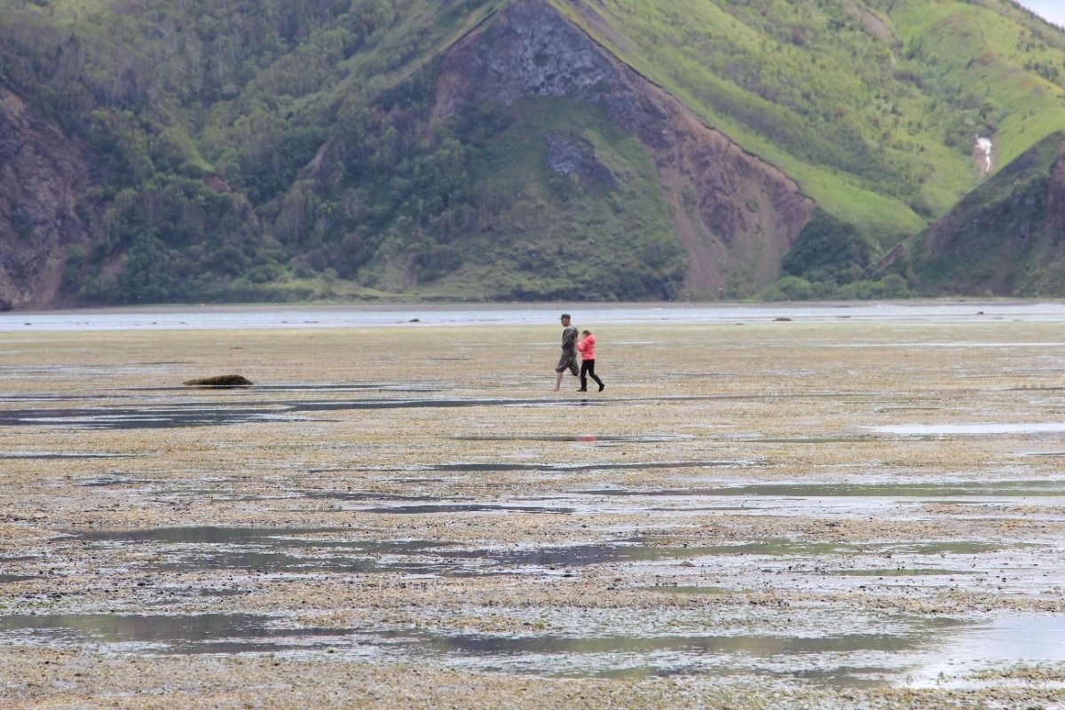 Местная кухня: что попробовать в окрестностях залива