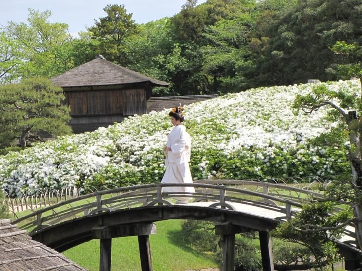 Сад Кёракуэн - жемчужина Окаямы 3 Лучшие места для фотографий весной